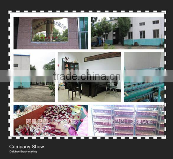 roof cleaning brush/ceiling cleaning brush with plastic handle