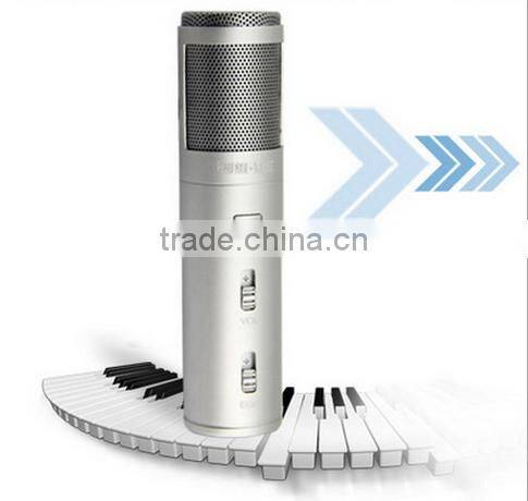 hot selling portable Mini karaoke player with custom logo,custom size,custom color,OEM orders are welcome