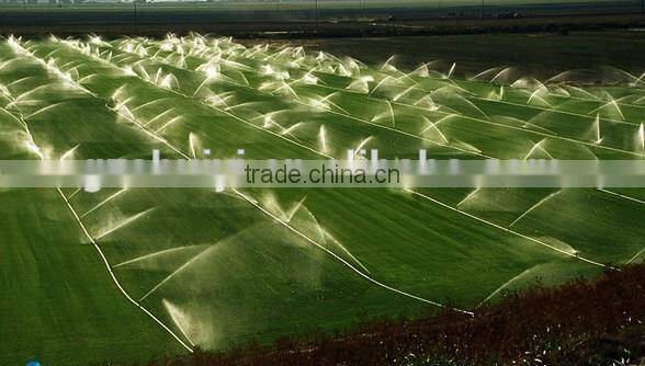 Lawn irrigation system