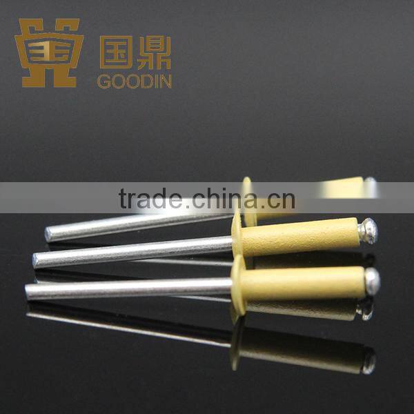 HOT SALE CHINA SUPPLIER RIVET PIN MINIATURE RIVET LADDER RIVET