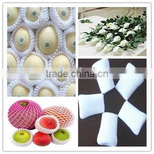 Performance PE Foam Fruit Net Making machine