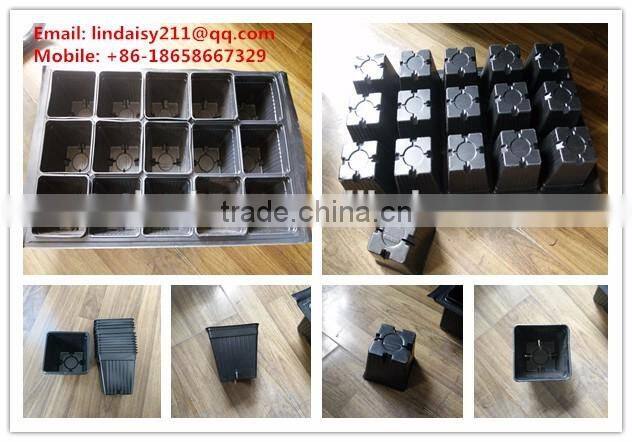 Plastic PS material special plant pot China factory