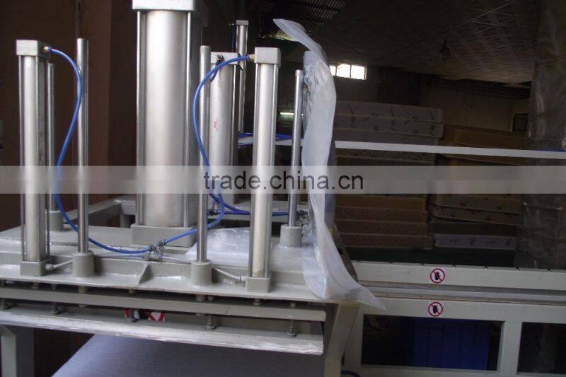 pillow vacuum wrapping machine/High Quality pillow vacuum packaging Machine