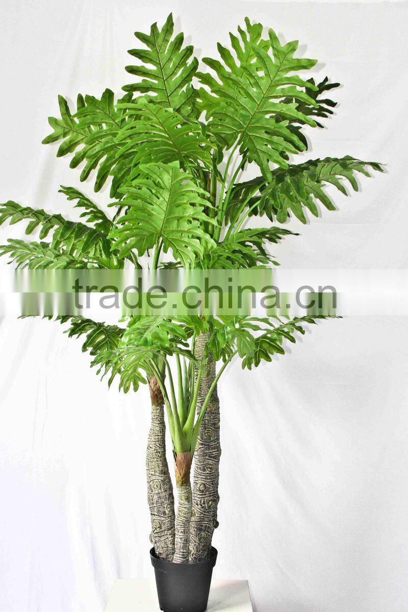 Oramental green bonsais