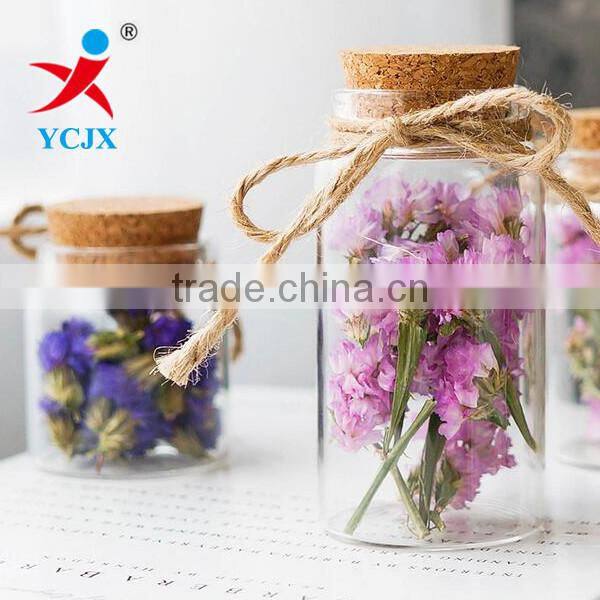 Wholesale Hand Blown Empty Cylinder Round Glass Bottles with cork lids