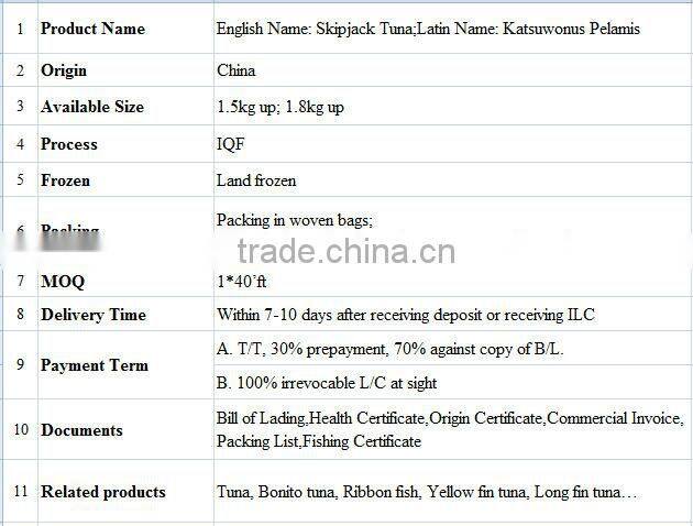 Frozen Skipjack Tuna Whole Round