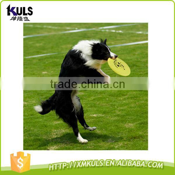 Plastic frisbee pet frisbee dog training plastic frisbee promotional