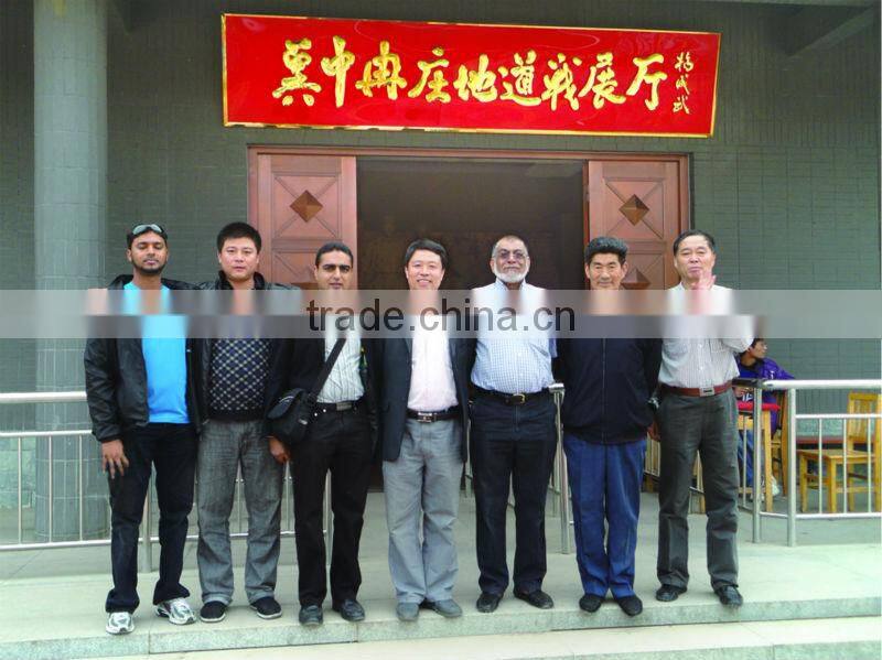 vegetable mesh bag,pe raschel bags,onion mesh bag