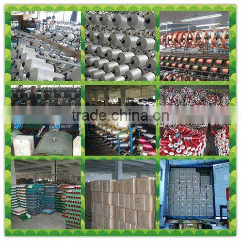 120D/2 100% polyester embroidery thread