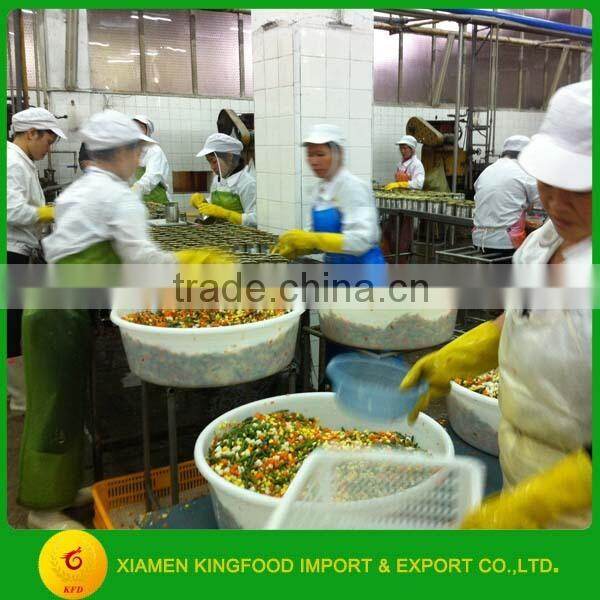 Wholesale canned Mixed vegetables brand Vegetable in tin 425g