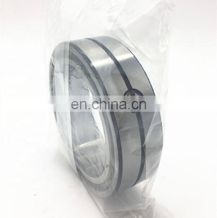 Double Row Full Complement Cylindrical Roller Bearing SL18 5013 SL185013