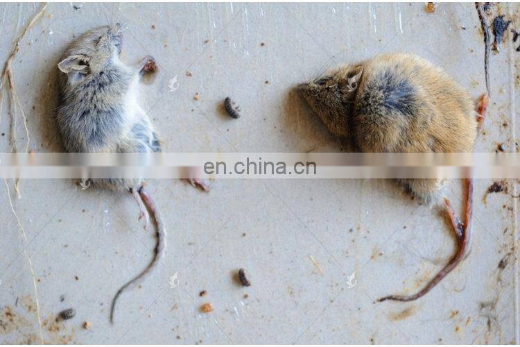 Customized size efficient gel trap disposable sticky mouse trap for restaurant