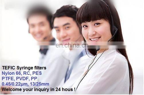 25 mm 0.22um PTFE Hydrophilic Syringe Filter Welded