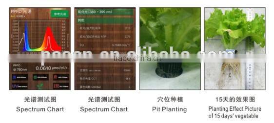 500kg animal fodder hydroponics
