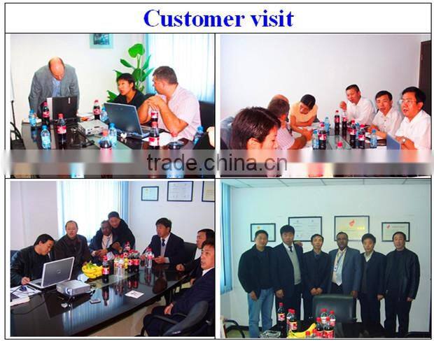 New Lead turnkey project sunflower seed oil production for sale