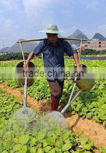 WP30 GASOLINE WATER PUMP