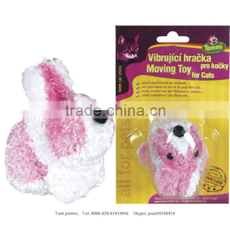 blister packaging,blister card, blister / TLP13120305