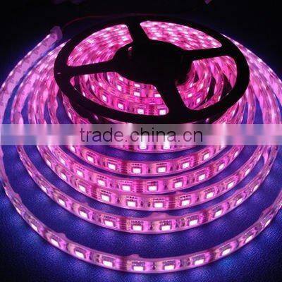 24v 3528 flexible led light strip light