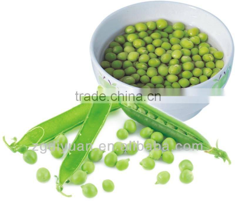 canned bean,canned green pea,garden pea , in tin by different specifications