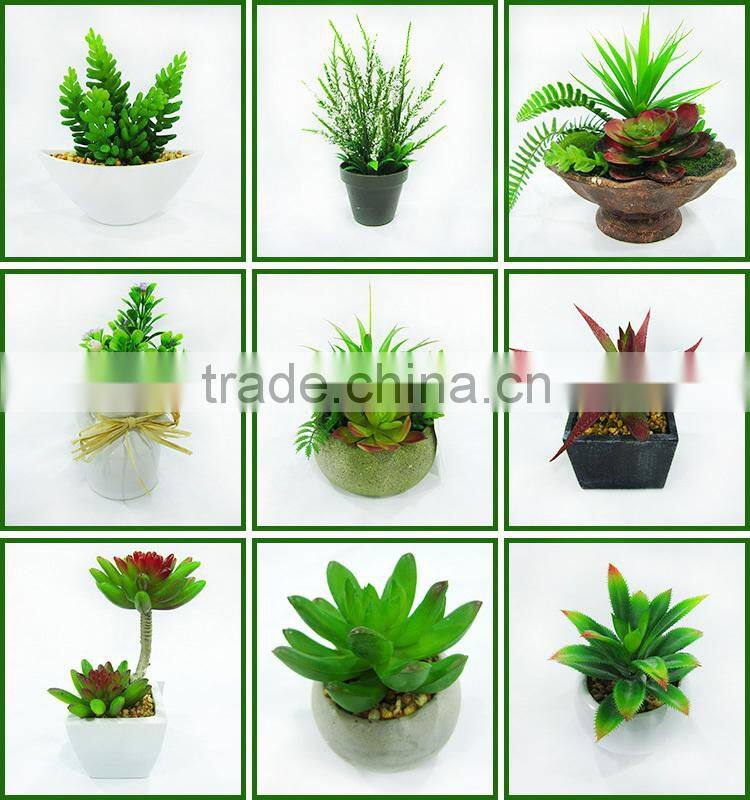 PVC Small Mini Artificial Potted Aloe Plant in Black Pulp Pot for Wholeselling
