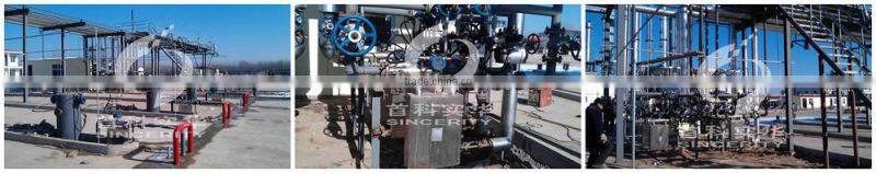 Beijing Sincerity DMF-Series Coriolis Mass Diesel Fuel Flow Meter