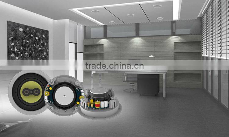 Ceiling dual cone speaker