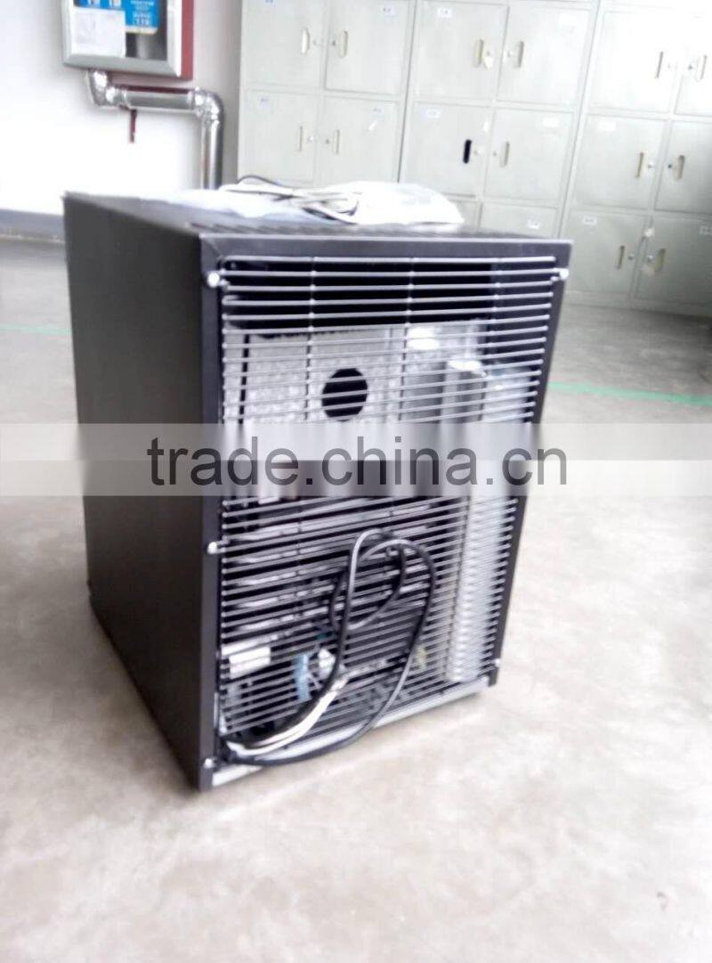 AC/DC absorption portable mini refrigerator for limo or touring car