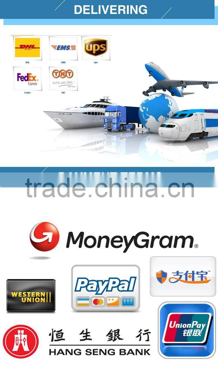 Premium Anti Spy Mobile Phone Use Privacy Glass Sticker for iPhone SE