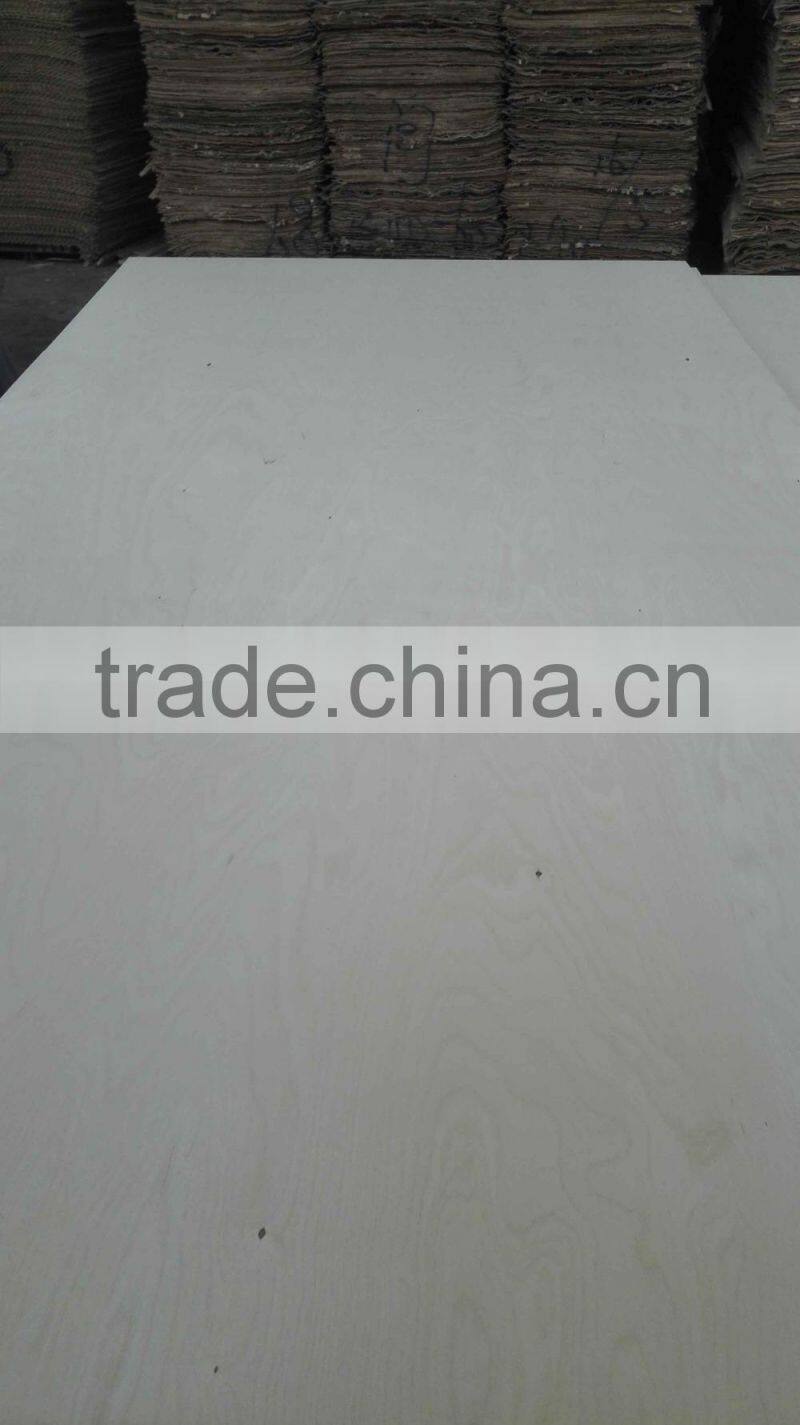 White Birch Plywood