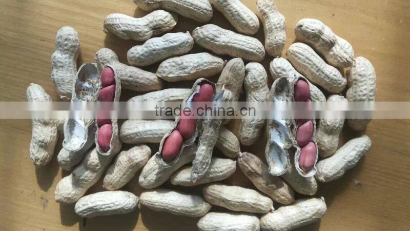 2014 crop Chinese red skin peanuts 50/60 40/50 , good quality with no aflatoxin