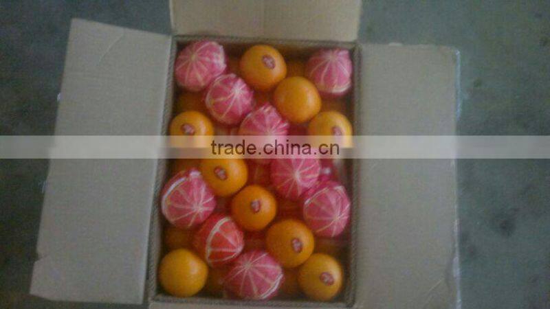 VALENCIA FRESH ORANGE FROM EGYPT