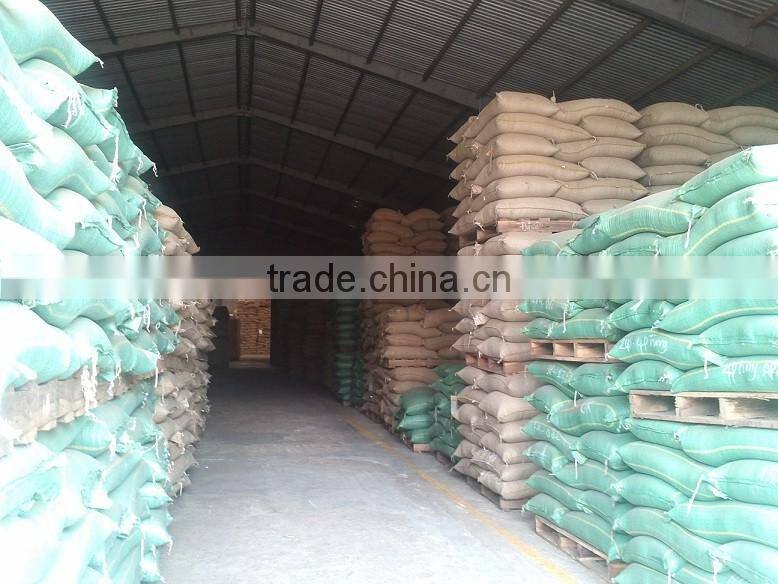 VIETNAM WET POLISHED ROBUSTA COFFEE BEANS S16(+841657106604 - WHATSAPP)