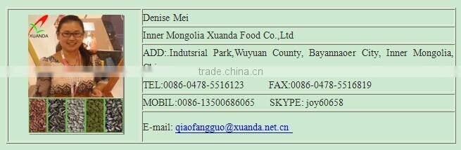 organic pumpkin seeds in shell