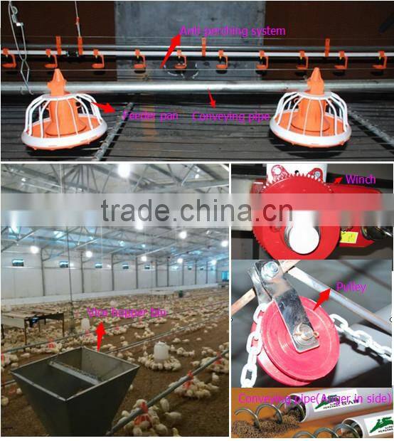 chicken feed pan system for broiler