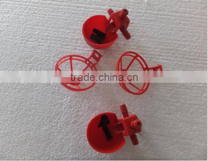 pigeon water drinkers