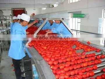 TY-619 Tomato Ketchup Production Line (Video)