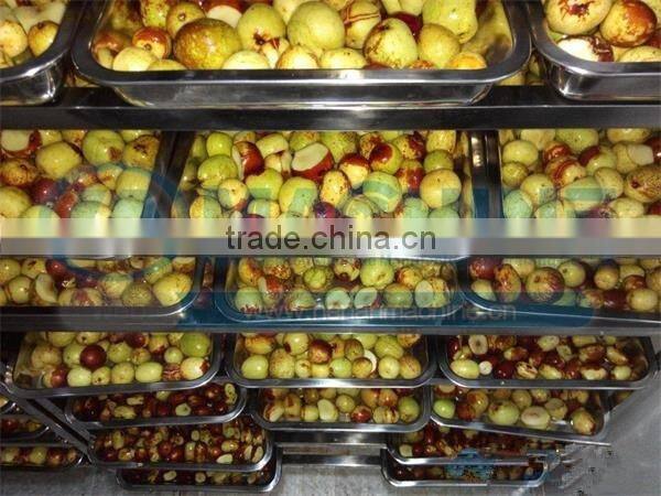 Commercial vegetable and fruit and Green tea drying machine