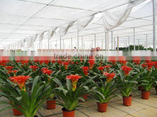 Manufacture greenhouse plastic film for fruits vegetables flowers