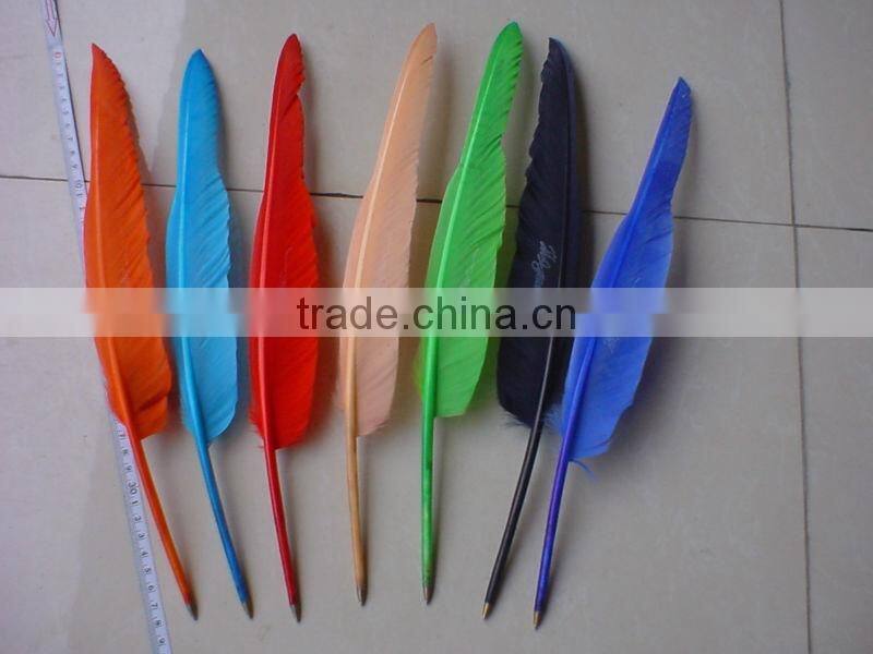 feather pens/quill pen/history pen