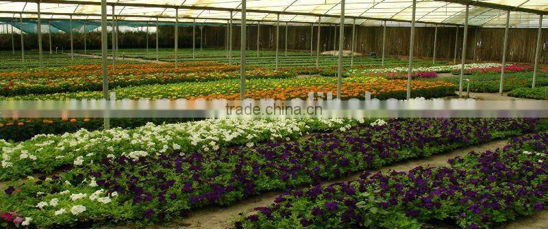Polycarbonate LED Panel (LiteGuide TRIMDEK)