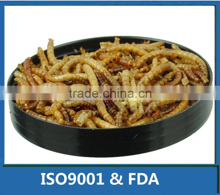 Freeze Dried Mealworms/Freeze Dried Tenebrio molitors for Pets