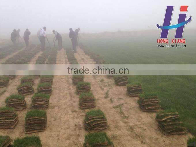 Coconut blanket coir fiber highest quality and Coir Products