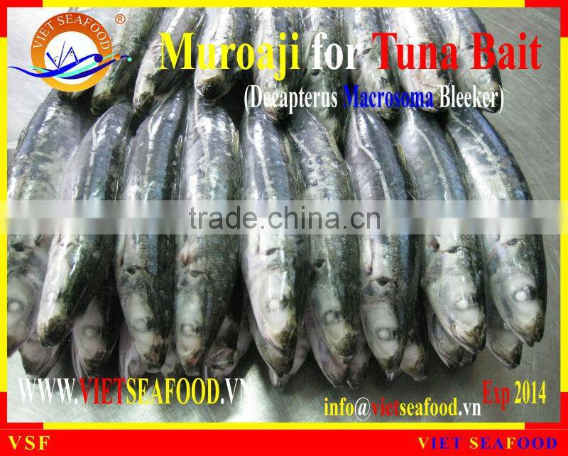 MUROAJI FOR TUNA BAIT FROZEN