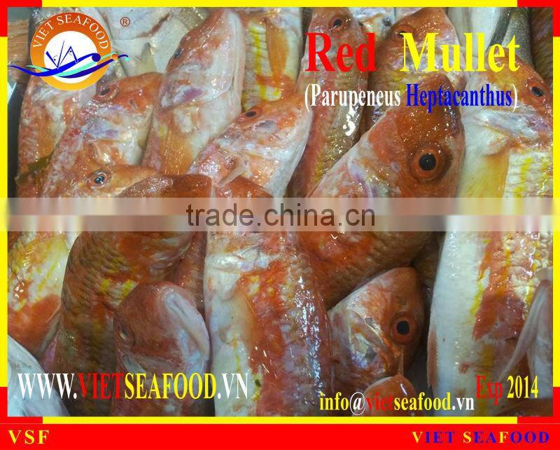 FROZEN RED MULLET WHOLE ROUND