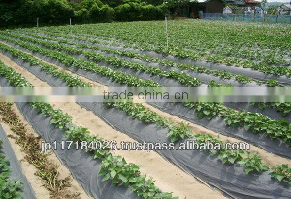 Easy to use and Hot-selling alibaba top sellers Kami Mulch for Fields for personal use