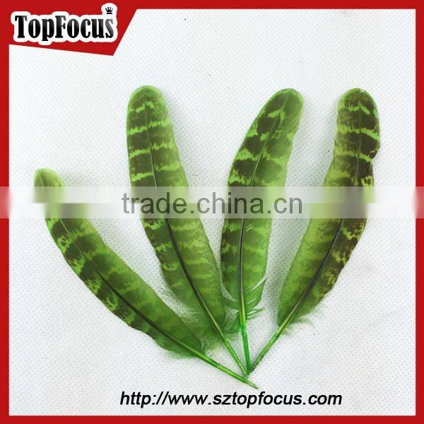 reeves cheap Natural Pheasant Tail Pheasant Feather for sale