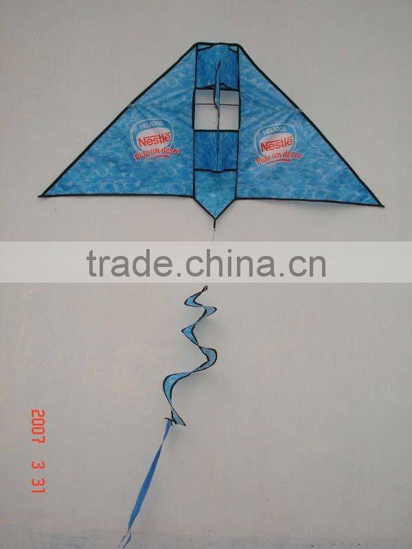printed triangle kite