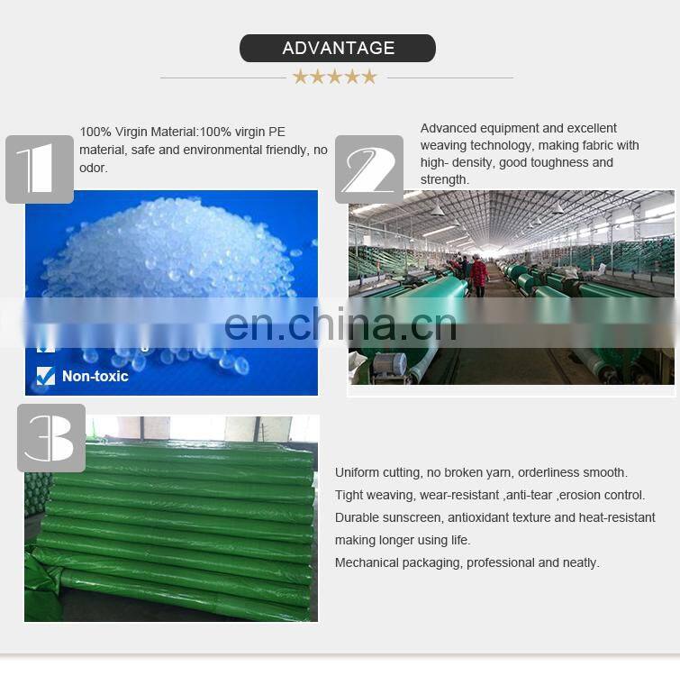 China factory PE fireproof tarpaulin