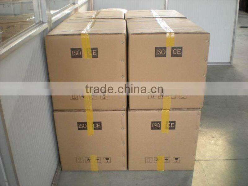 12V Two Lamp Solar Garden Light/Solar Courtyard Light facrory price