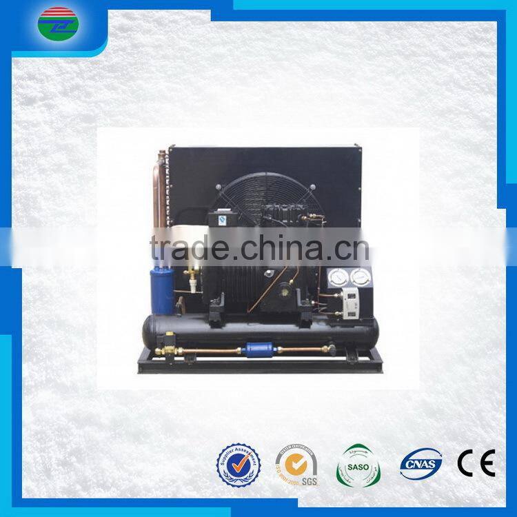 China manufacture high grade copeland refrigeration compressor sizes